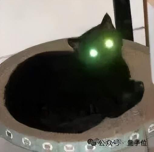 传统预测范式的能力边界