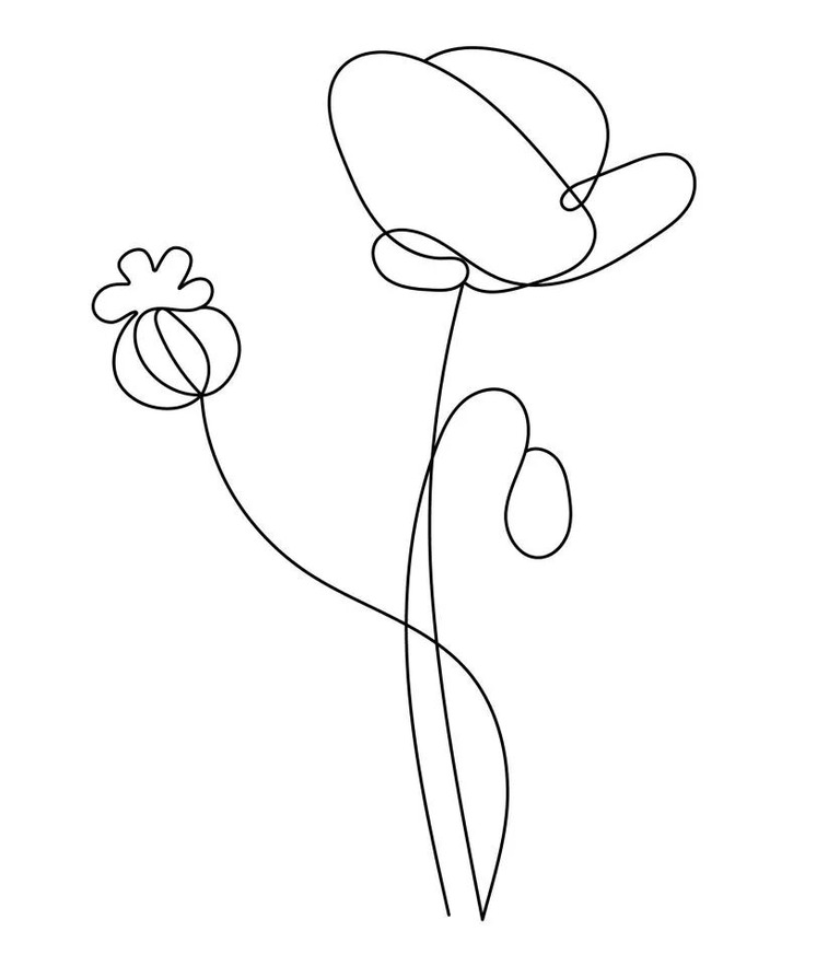 花朵涂鸦输入