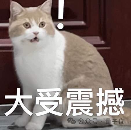 五项要求全部落地