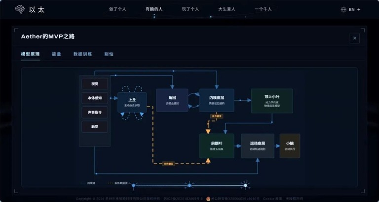分层记忆机制下的经验筛选与长期保留