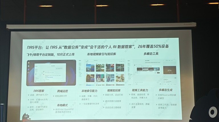 NAS 平台的定制版