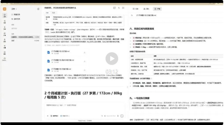 专家团输出的减重计划执行版截图