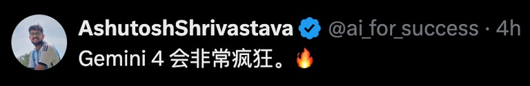 开发者称谷歌新模型会非常疯狂的推文截图