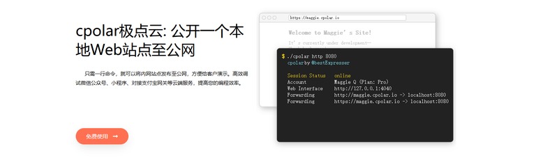 cpolar 承担的角色