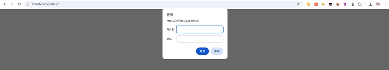 浏览器要求身份验证