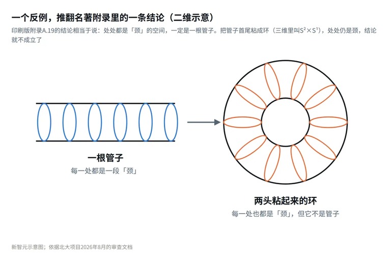 推翻附录结论的反例示意