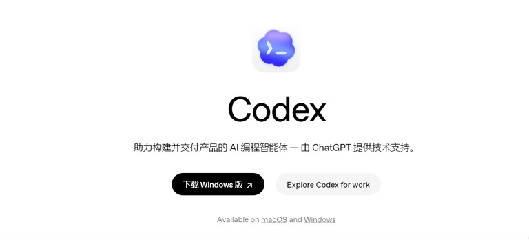 把表格、文档和数据库都交出去：Codex 做数据分析的一天