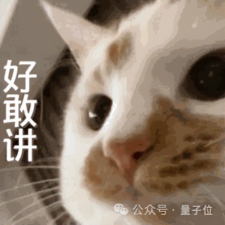 访谈画面上打出「好敢讲」三字