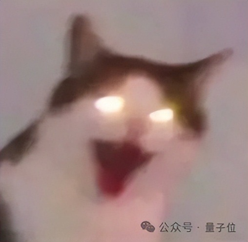 访谈重点笔记前的一段画面