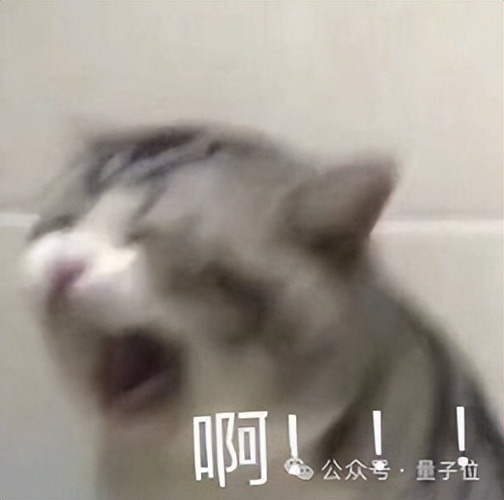 访谈画面上打出「啊」字