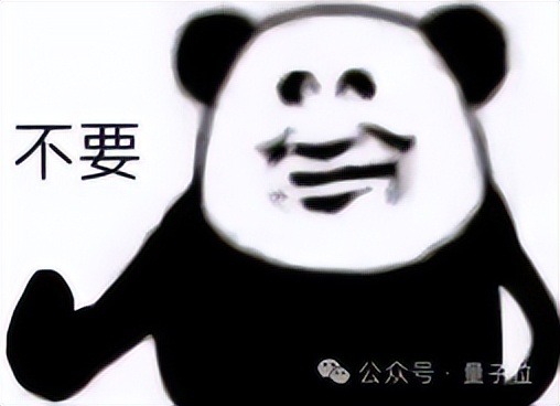 访谈画面上打出「不要」两字