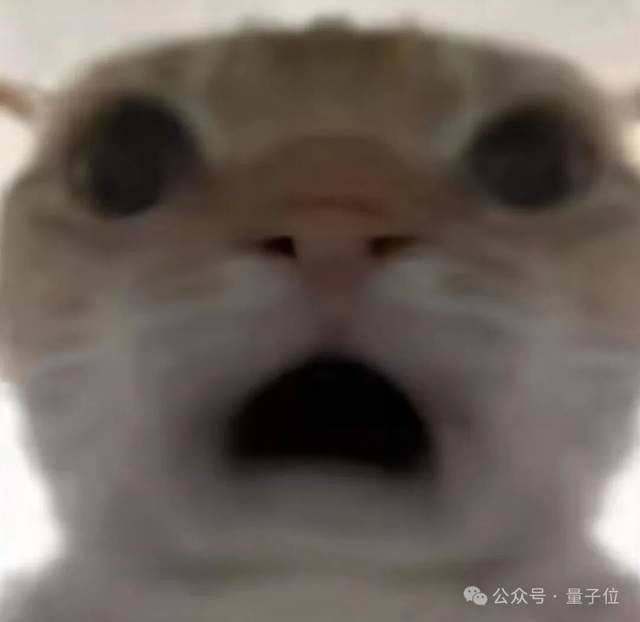 原文开篇配图