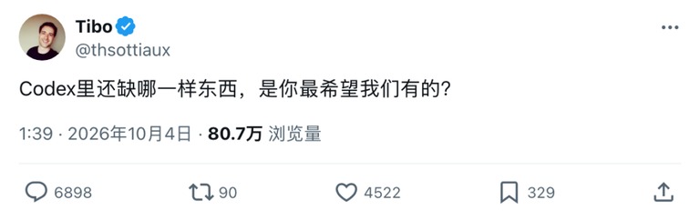 Codex 负责人发帖征集需求