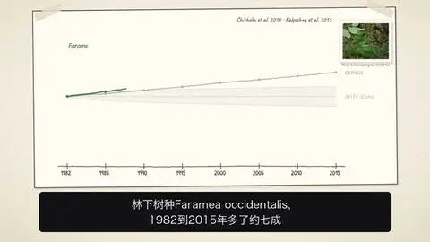 相关研究的时间线动画