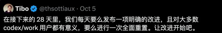 28 天计划的推文截图