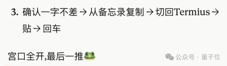 一张 AI 对话截图,列出从备忘录复制到终端的步骤。