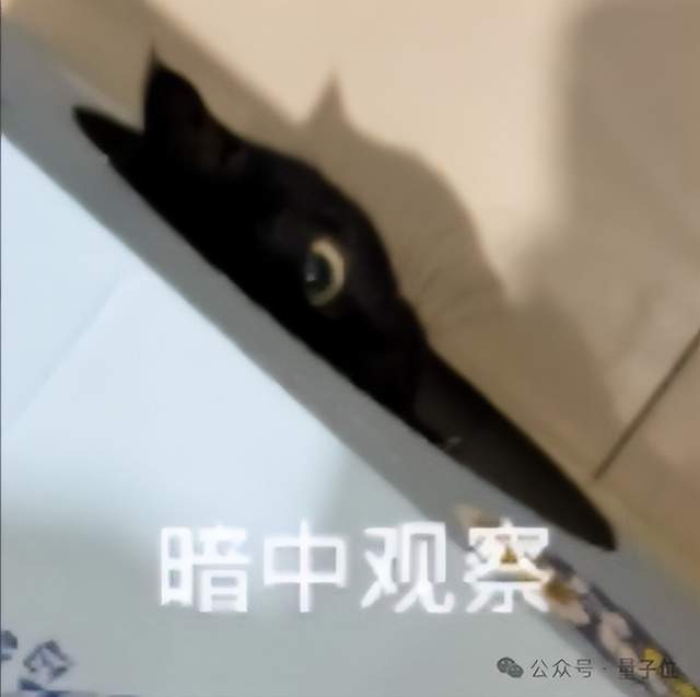 原文配图