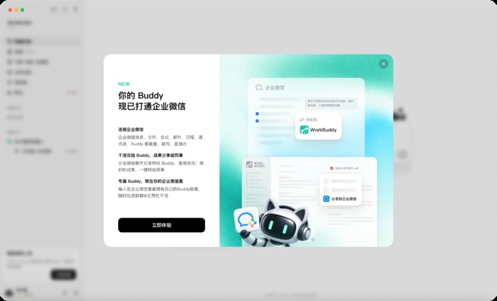 你的Buddy