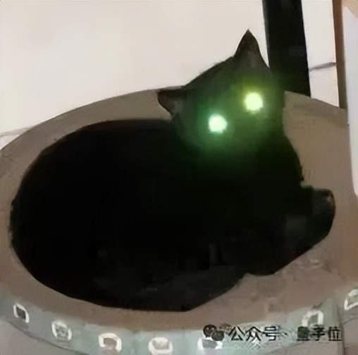 公众号水印