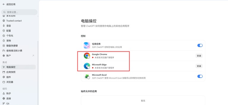 Codex 设置页截图
