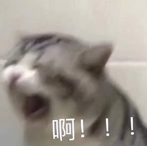 原文配图 19