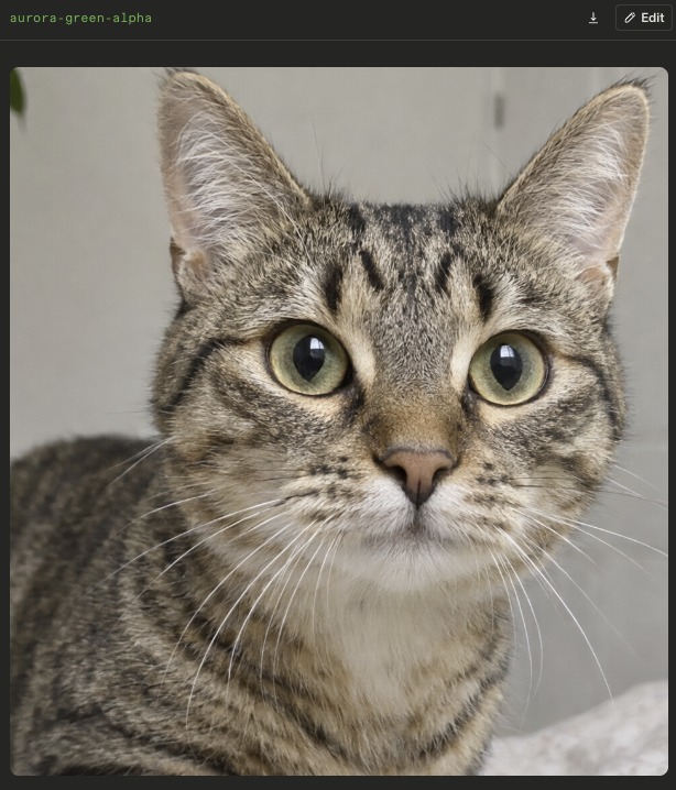 绿版那只,取景更宽。