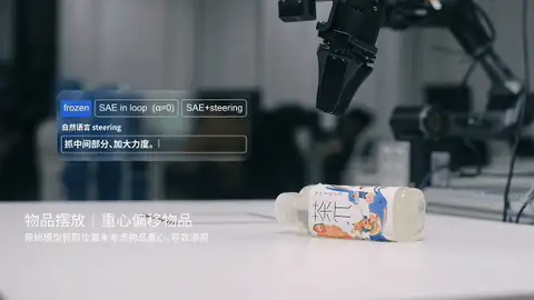 SAE in loop 在线纠偏