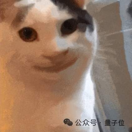 LeCun 论文截图